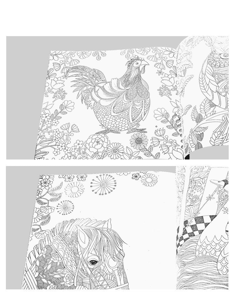 Adult coloring book