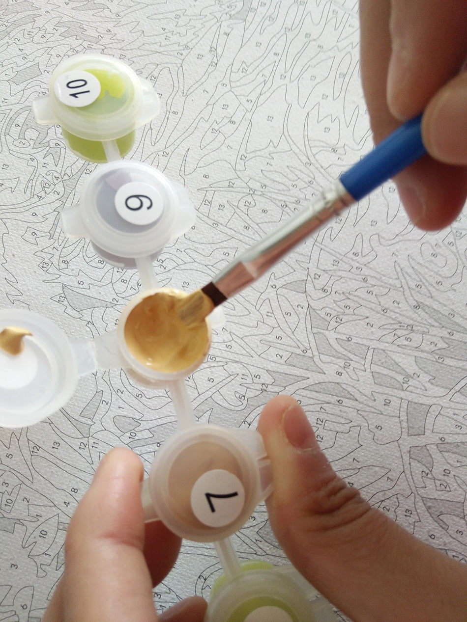 DIY Paint By Numbers