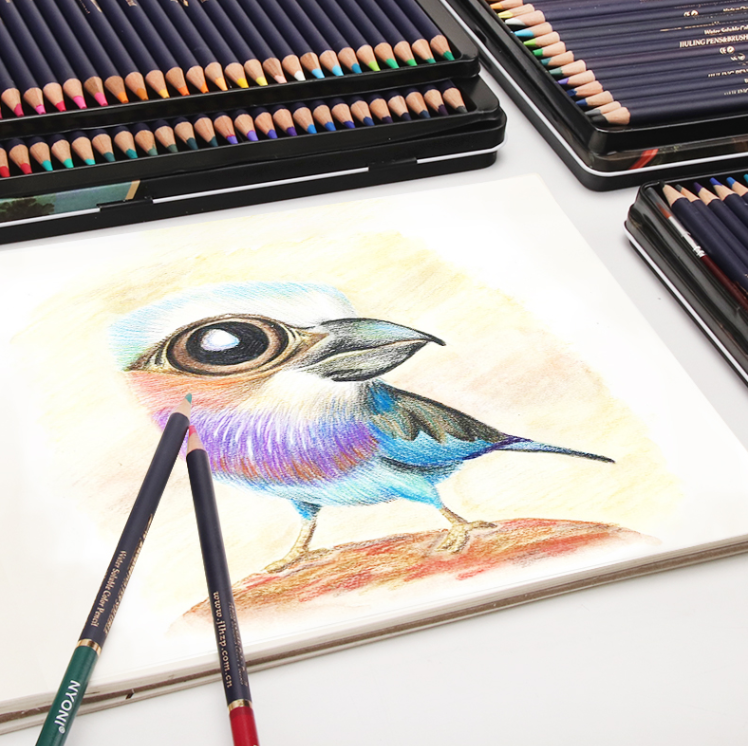 Water Soluble Colored Pencil Set
