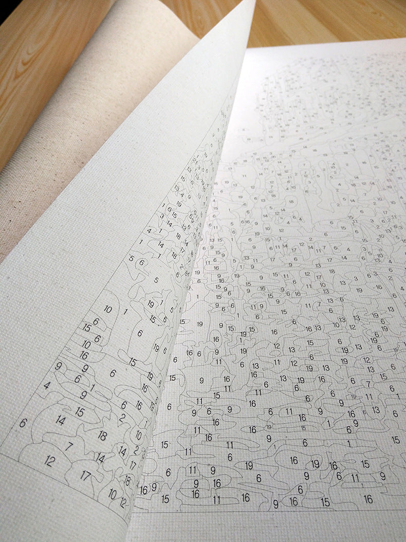 Paint By Numbers Dancer