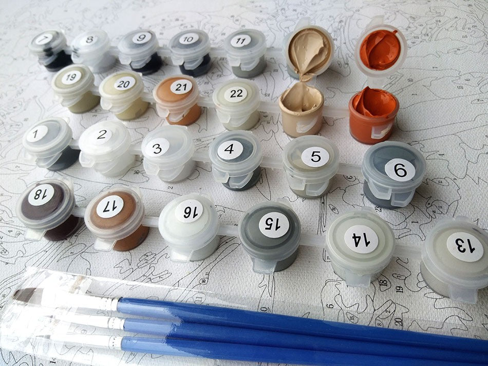 DIY Paint By Numbers